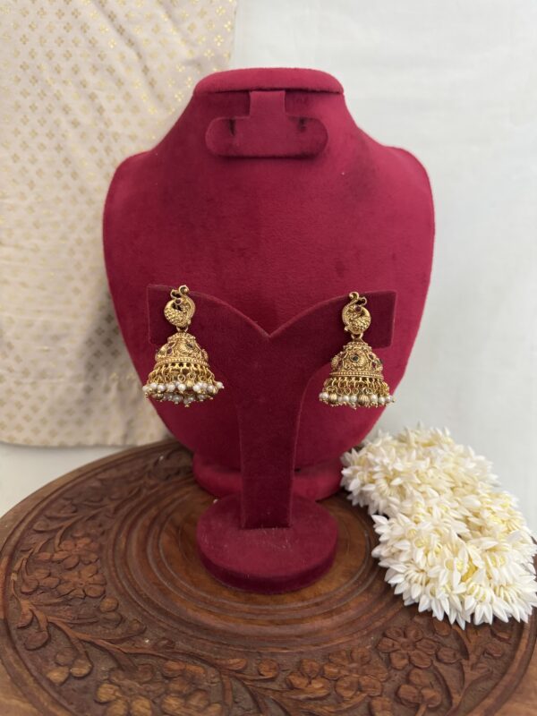 Divya Nagasi Lakshmi Bridal Set - Image 2