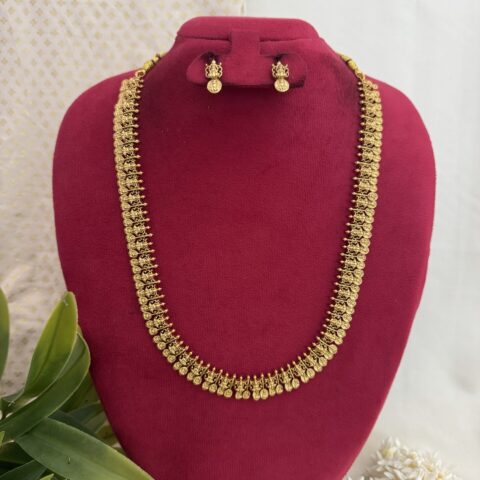 Sri Lakshmi Coin Haram That Represents Wealth Blessings and Heritage