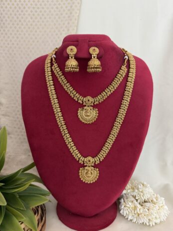 The current image has no alternative text. The file name is: img_2335-scaled.jpeg